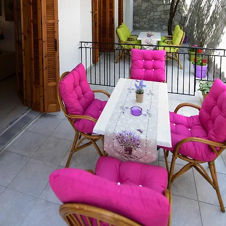 Oasis 2 Daire *